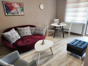 Apartman PETICA